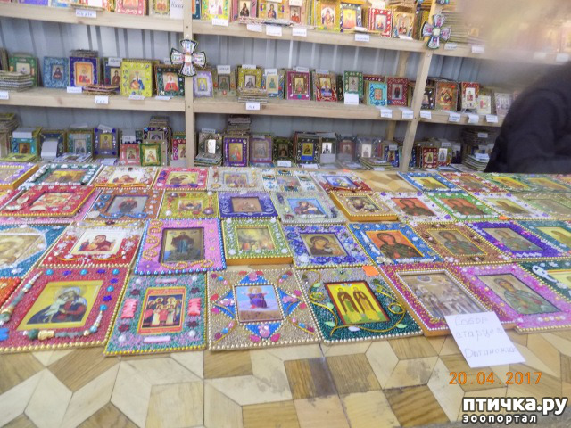 ���� 26: ����������� � ��� ������. ������ ���� ��������� ���������������.