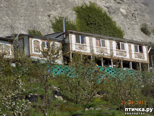 ���� 43: ����������� � ��� ������. ������ ���� ��������� ���������������.