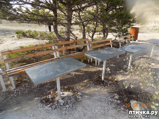 ���� 44: ����������� � ��� ������. ������ ���� ��������� ���������������.