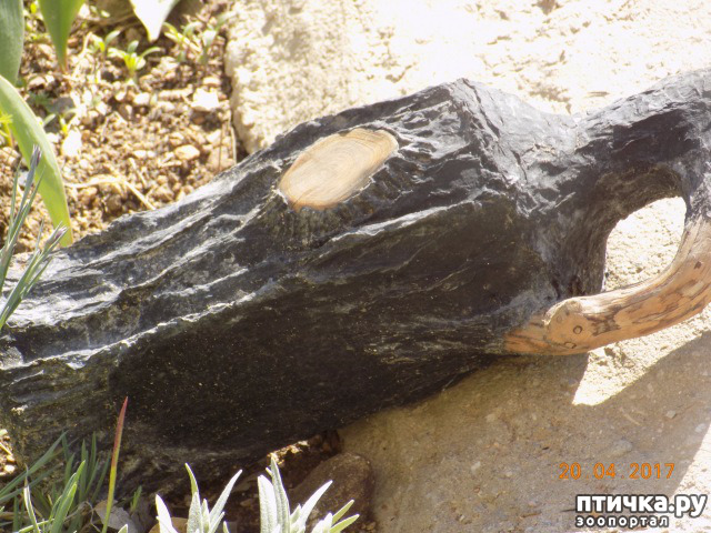 ���� 46: ����������� � ��� ������. ������ ���� ��������� ���������������.