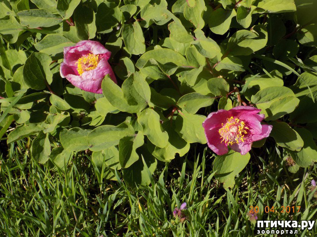 ���� 48: ����������� � ��� ������. ������ ���� ��������� ���������������.