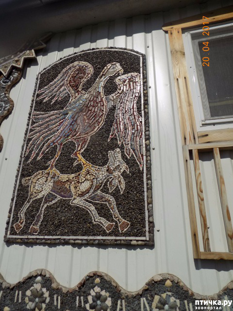 ���� 49: ����������� � ��� ������. ������ ���� ��������� ���������������.