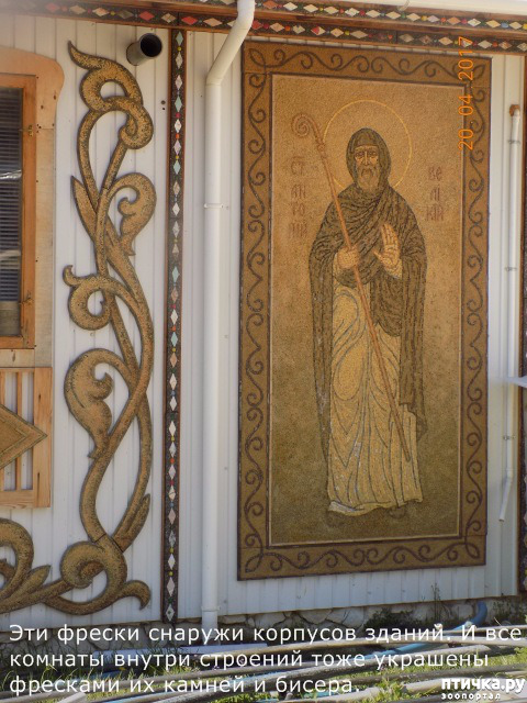 ���� 50: ����������� � ��� ������. ������ ���� ��������� ���������������.