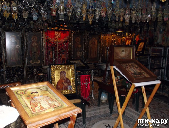 ���� 51: ����������� � ��� ������. ������ ���� ��������� ���������������.