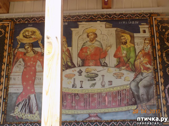 ���� 52: ����������� � ��� ������. ������ ���� ��������� ���������������.