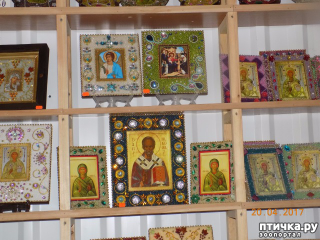 ���� 27: ����������� � ��� ������. ������ ���� ��������� ���������������.