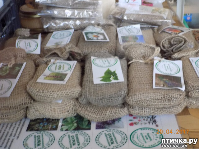 ���� 28: ����������� � ��� ������. ������ ���� ��������� ���������������.