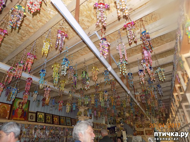 ���� 32: ����������� � ��� ������. ������ ���� ��������� ���������������.