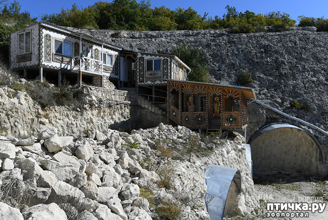 ���� 53: ����������� � ��� ������. ������ ���� ��������� ���������������.