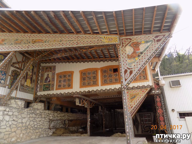 ���� 56: ����������� � ��� ������. ������ ���� ��������� ���������������.