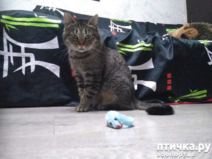 ����: �����. �����. ����.