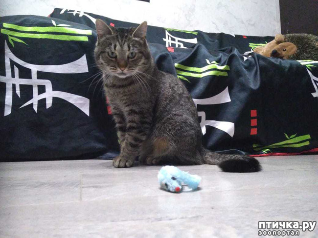 ���� 1: �����. �����. ����.