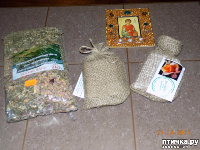 ���� 30: ����������� � ��� ������. ������ ���� ��������� ���������������.