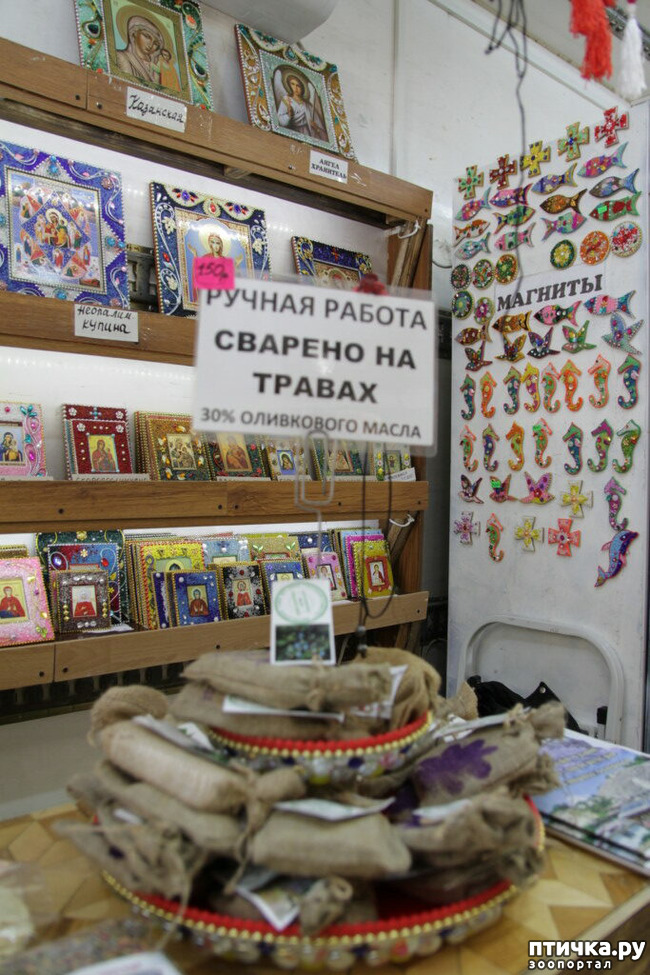 ���� 31: ����������� � ��� ������. ������ ���� ��������� ���������������.