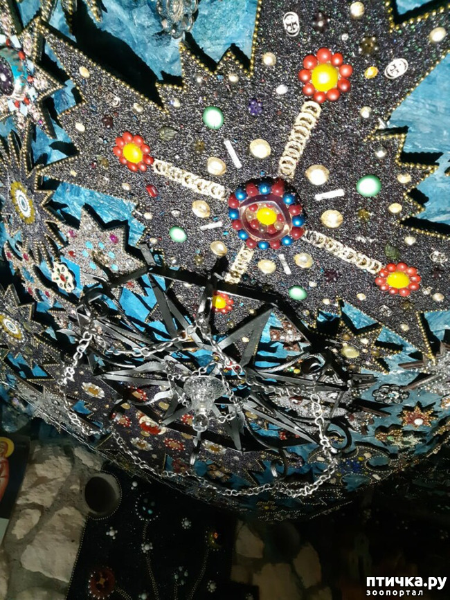 ���� 63: ����������� � ��� ������. ������ ���� ��������� ���������������.