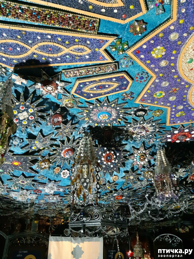 ���� 64: ����������� � ��� ������. ������ ���� ��������� ���������������.