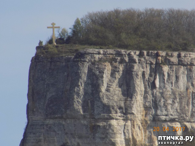 ���� 71: ����������� � ��� ������. ������ ���� ��������� ���������������.