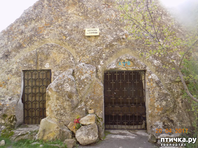 ���� 76: ����������� � ��� ������. ������ ���� ��������� ���������������.