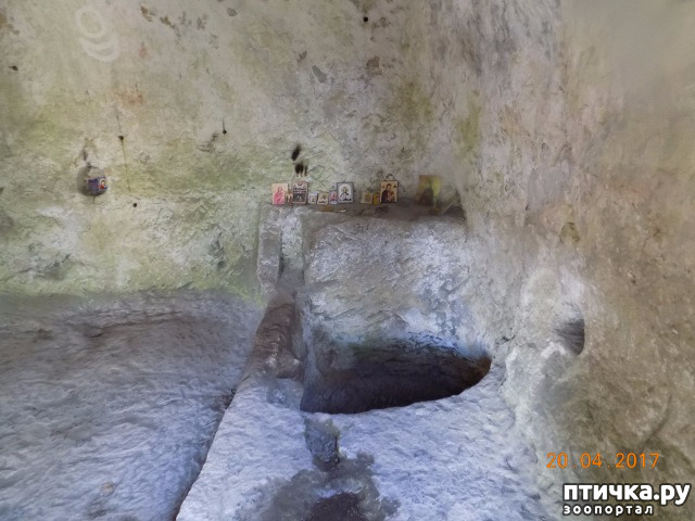 ���� 54: ����������� � ��� ������. ������ ���� ��������� ���������������.