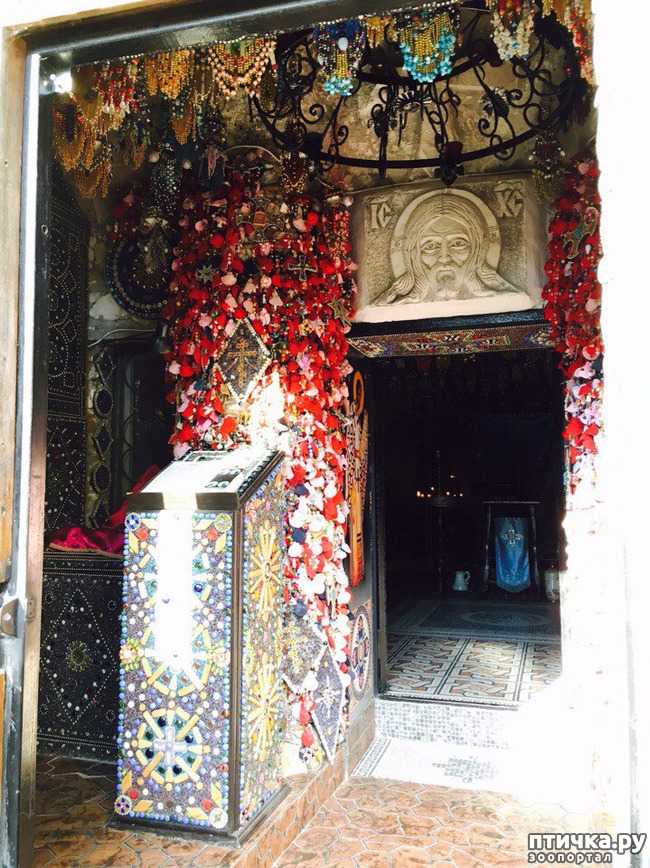 ���� 55: ����������� � ��� ������. ������ ���� ��������� ���������������.