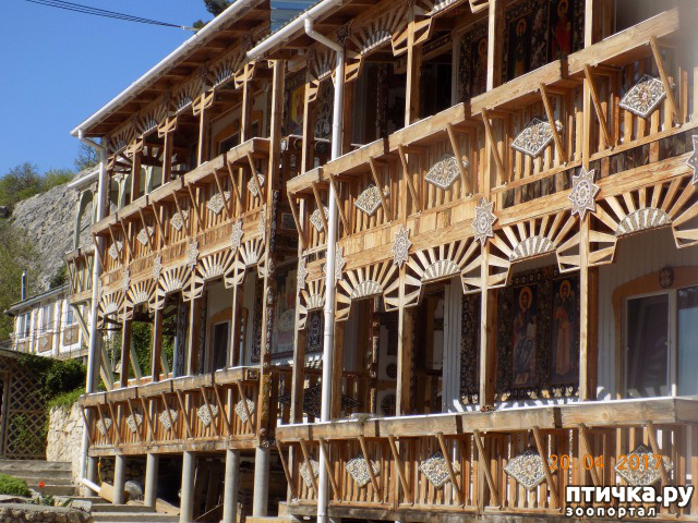 ���� 57: ����������� � ��� ������. ������ ���� ��������� ���������������.