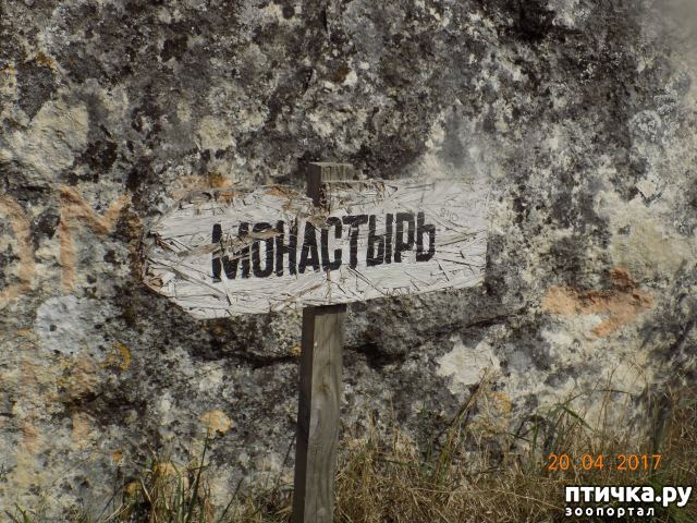 ���� 58: ����������� � ��� ������. ������ ���� ��������� ���������������.