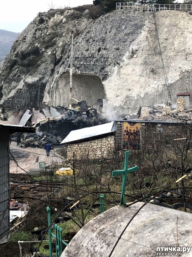 ���� 59: ����������� � ��� ������. ������ ���� ��������� ���������������.