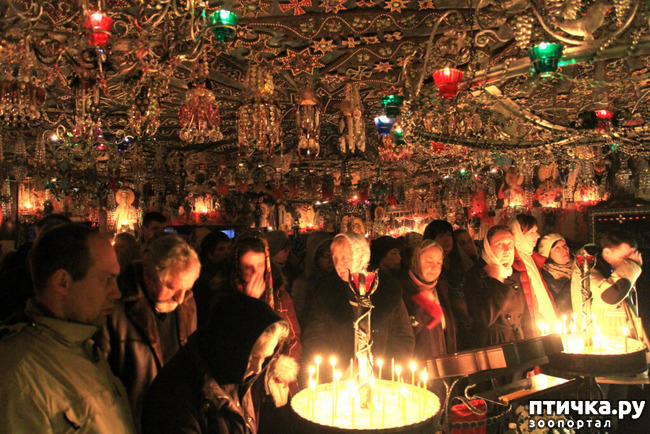 ���� 66: ����������� � ��� ������. ������ ���� ��������� ���������������.