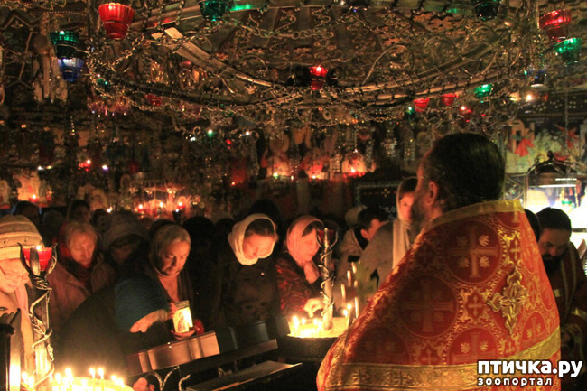 ���� 68: ����������� � ��� ������. ������ ���� ��������� ���������������.