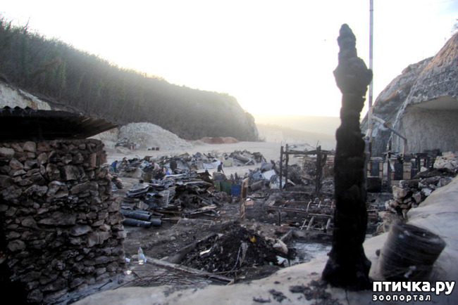 ���� 65: ����������� � ��� ������. ������ ���� ��������� ���������������.