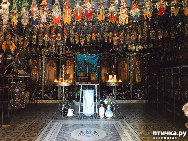 ���� 2: ����������� � ��� ������. ������ ���� ��������� ���������������.