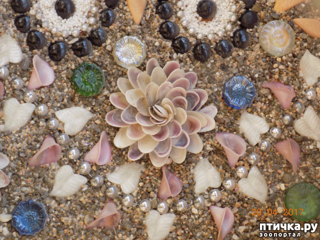 ���� 5: ����������� � ��� ������. ������ ���� ��������� ���������������.