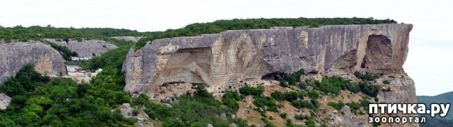 ���� 1: ����������� � ��� ������. ������ ���� ��������� ���������������.