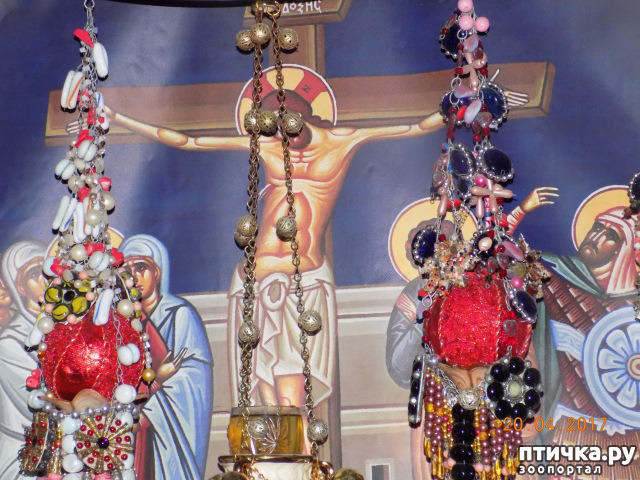 ���� 6: ����������� � ��� ������. ������ ���� ��������� ���������������.