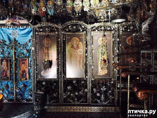 ���� 7: ����������� � ��� ������. ������ ���� ��������� ���������������.