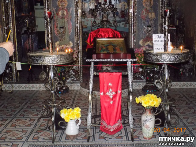 ���� 8: ����������� � ��� ������. ������ ���� ��������� ���������������.