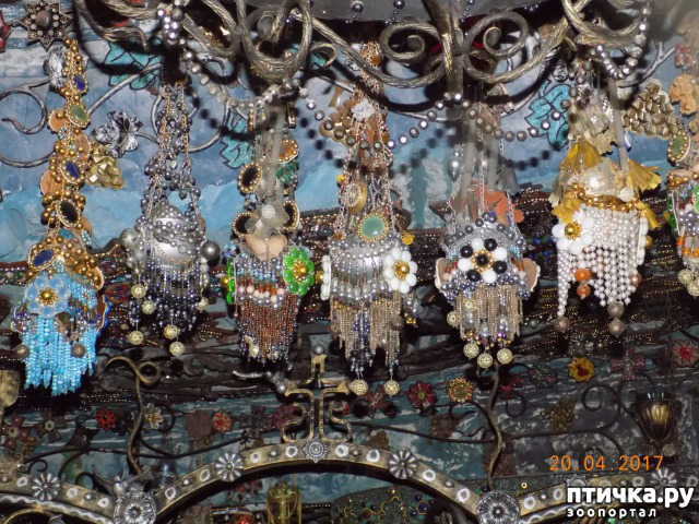 ���� 9: ����������� � ��� ������. ������ ���� ��������� ���������������.