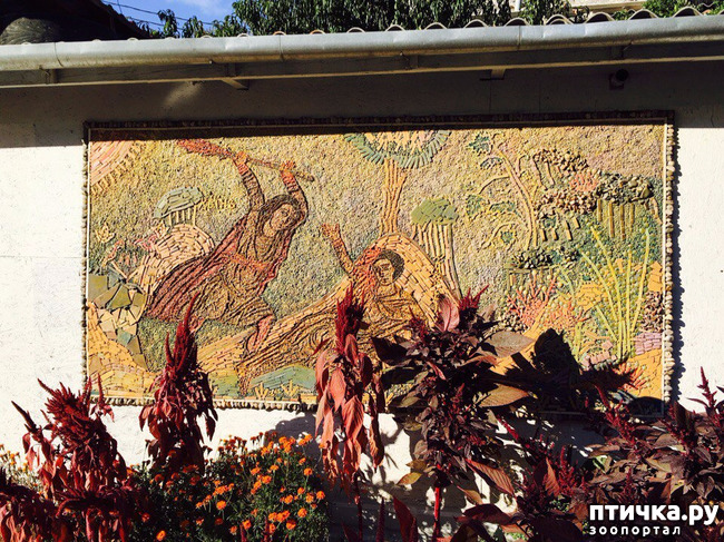 ���� 10: ����������� � ��� ������. ������ ���� ��������� ���������������.