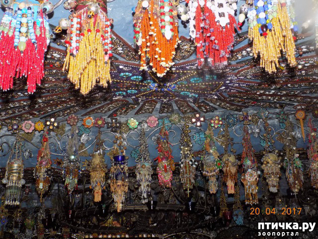 ���� 11: ����������� � ��� ������. ������ ���� ��������� ���������������.