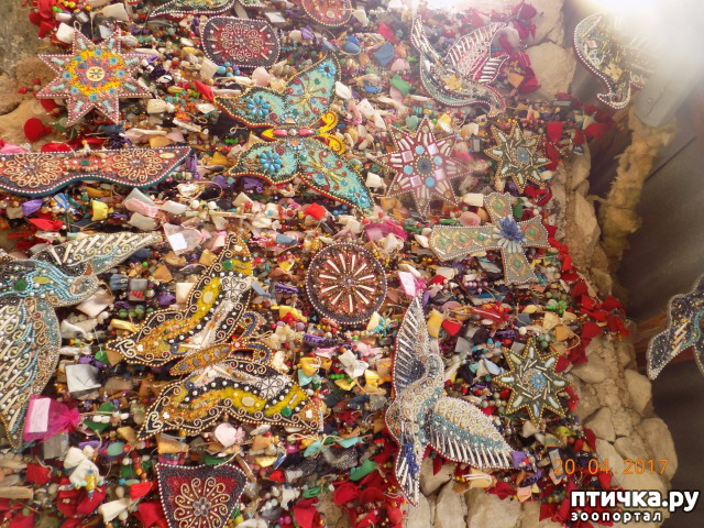 ���� 12: ����������� � ��� ������. ������ ���� ��������� ���������������.