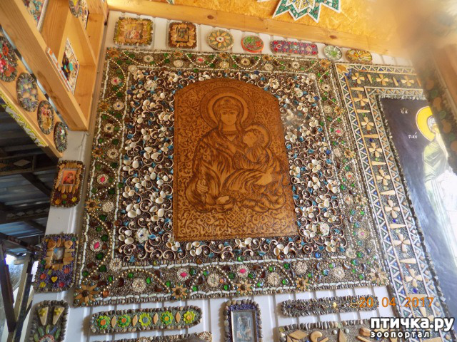 ���� 13: ����������� � ��� ������. ������ ���� ��������� ���������������.