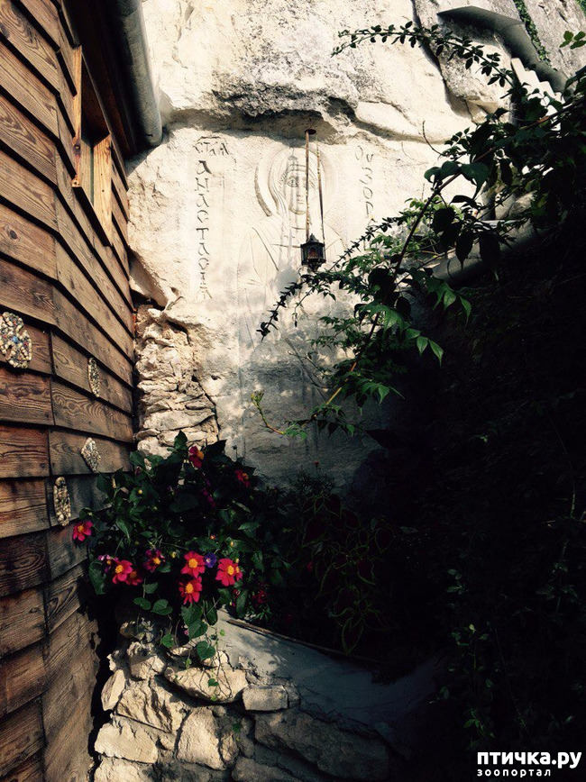 ���� 17: ����������� � ��� ������. ������ ���� ��������� ���������������.