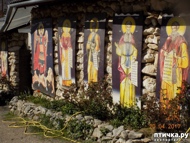 ���� 18: ����������� � ��� ������. ������ ���� ��������� ���������������.