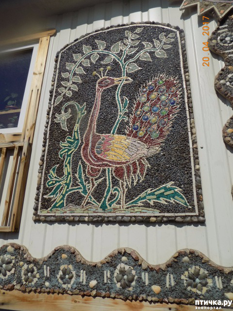 ���� 19: ����������� � ��� ������. ������ ���� ��������� ���������������.