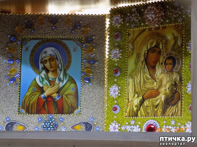 ���� 21: ����������� � ��� ������. ������ ���� ��������� ���������������.