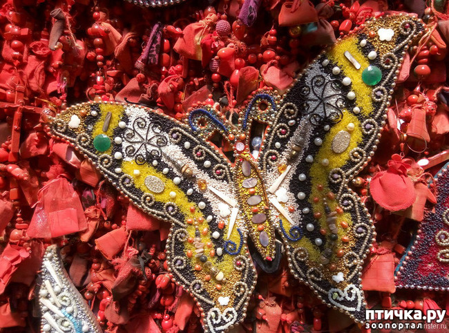 ���� 22: ����������� � ��� ������. ������ ���� ��������� ���������������.