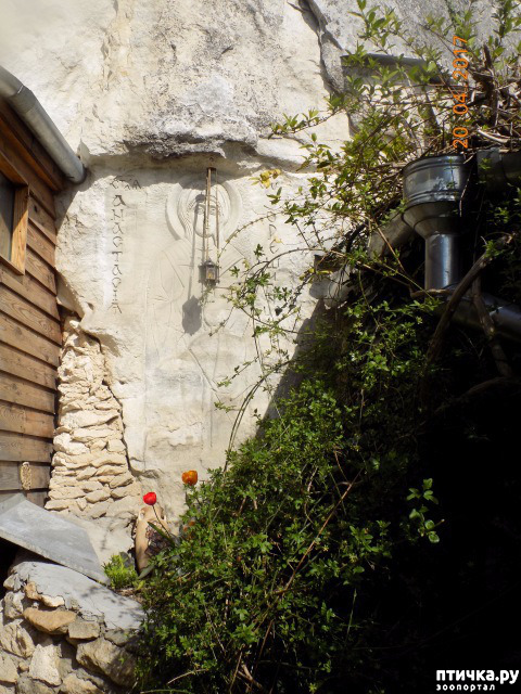 ���� 23: ����������� � ��� ������. ������ ���� ��������� ���������������.