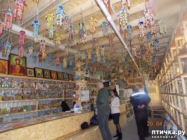 ���� 25: ����������� � ��� ������. ������ ���� ��������� ���������������.