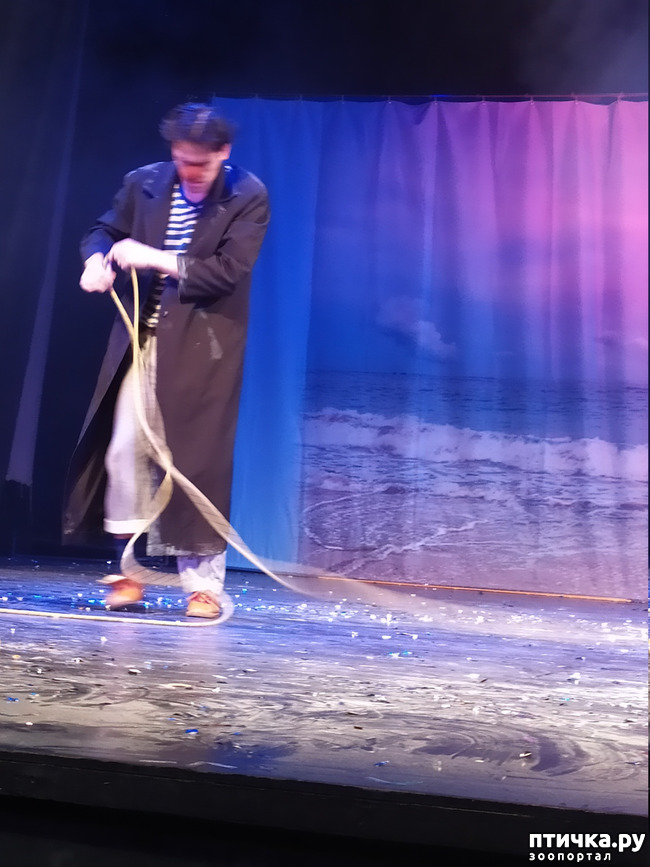 ���� 29: ����� � ������� � �����.