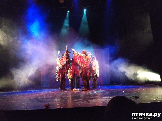 ���� 31: ����� � ������� � �����.